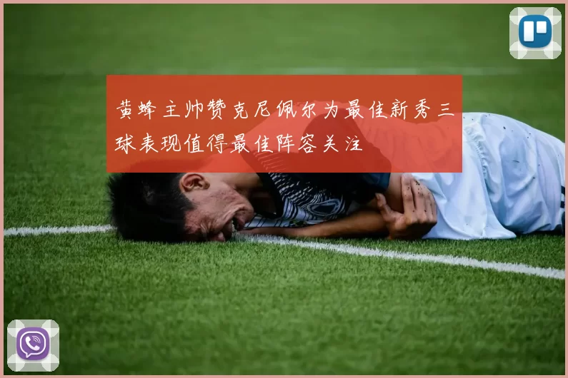 黄蜂主帅赞克尼佩尔为最佳新秀三球表现值得最佳阵容关注