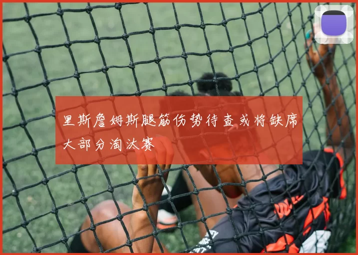 里斯詹姆斯腿筋伤势待查或将缺席大部分淘汰赛